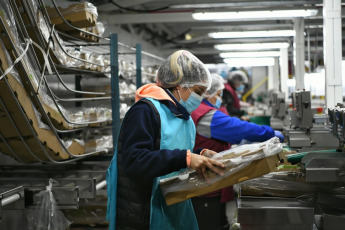 Rio Negro, Argentina.- In the photos taken on December 18, 2020, Argentines work at Ceco SA, a producer and packer of cherries in Rio Negro, Argentina. Argentina worsened its labor crisis this year by once again having the lowest employment rate in Latin America and one of the highest unemployment figures, according to a survey by the International Labor Organization (ILO).