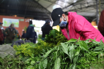 Bogotá, Colombia.- People work in a market place in the center of Bogotá amid the coronavirus pandemic on January 7, 2021. The entity responsible for the dissemination of Colombia's official statistics, Dane reported that inflation December was 0.38%, which left the annual average at 1.61%, as a consequence of the price falls generated by the pandemic, placing the inflation of the year 2020 as the lowest inflation in the statistical history of the Dane.